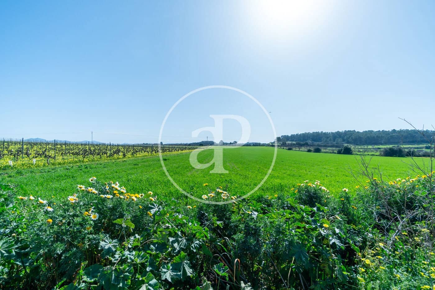 Mark till salu i Porreres - 235 000 € (Ref: 8827969)