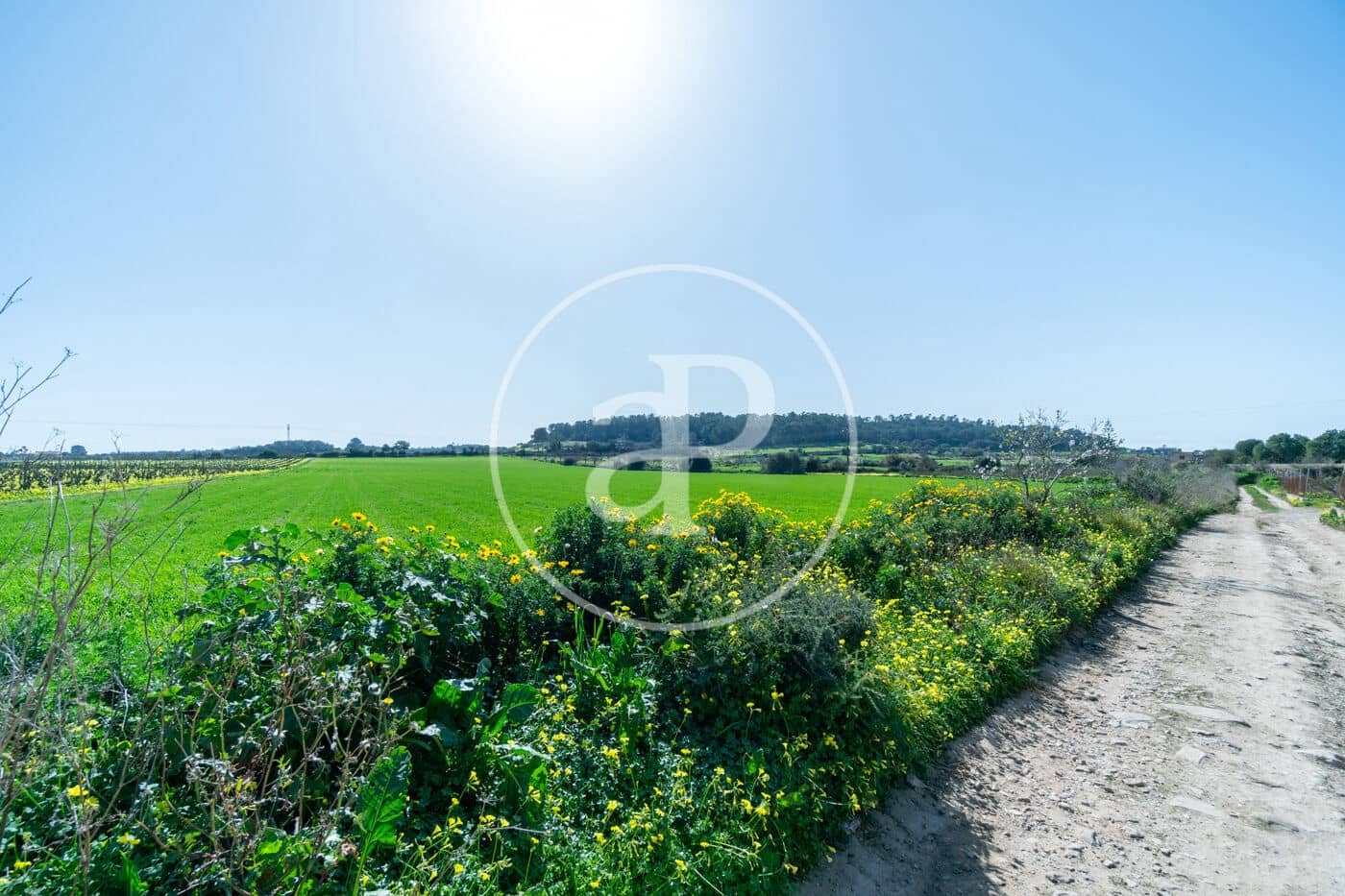 Mark till salu i Porreres - 235 000 € (Ref: 8827969)