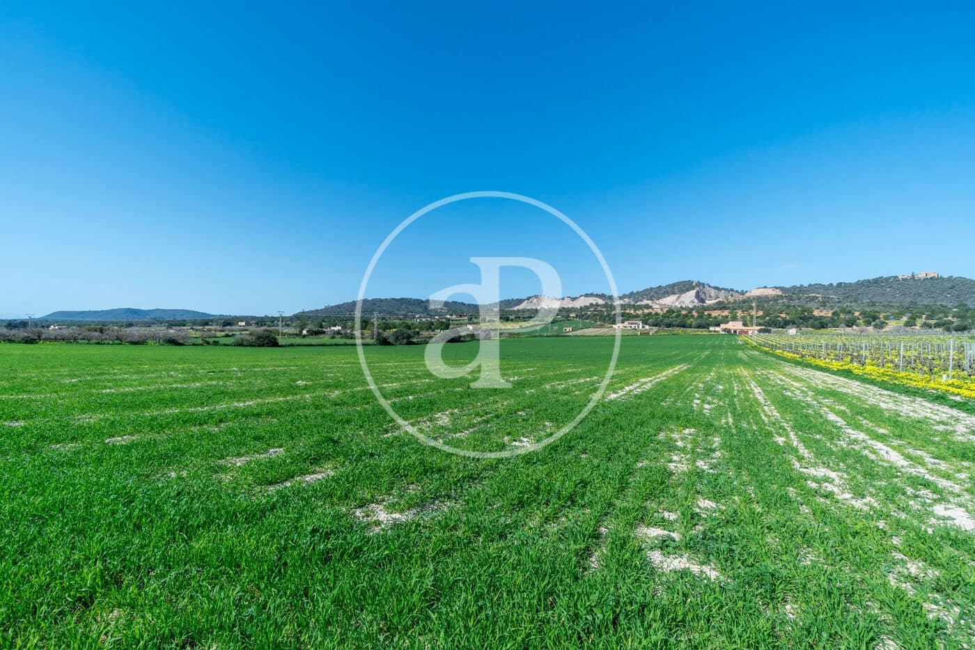 Mark till salu i Porreres - 235 000 € (Ref: 8827969)