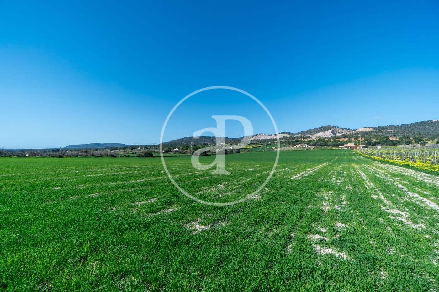 Mark till salu i Porreres - 235 000 € (Ref: 8827969)