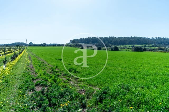 Mark till salu i Porreres - 235 000 € (Ref: 8827969)