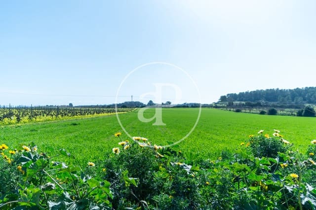 Mark till salu i Porreres - 235 000 € (Ref: 8827969)