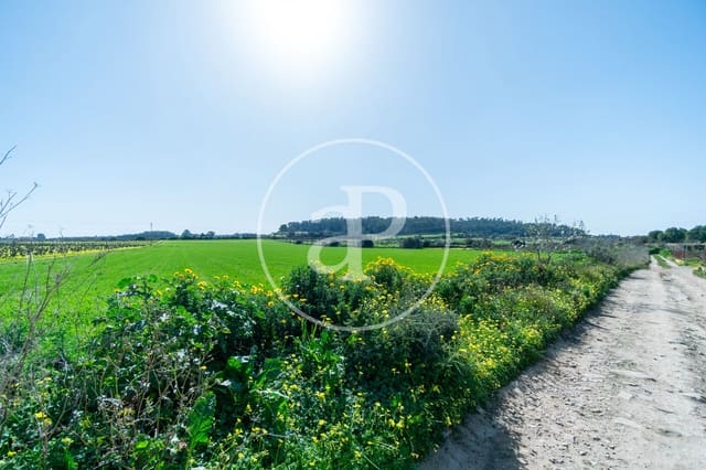 Mark till salu i Porreres - 235 000 € (Ref: 8827969)