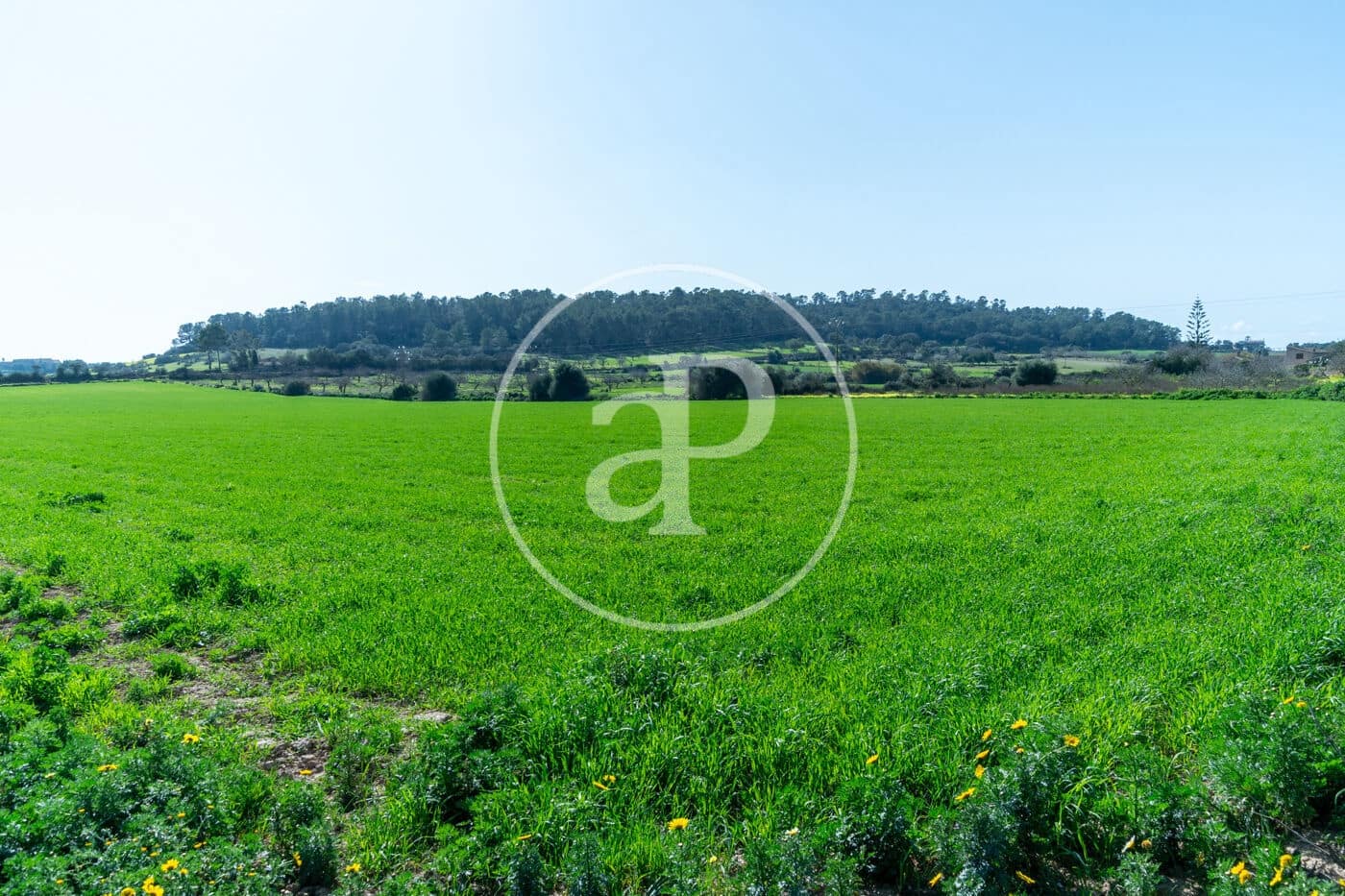 Mark till salu i Porreres - 235 000 € (Ref: 8827969)