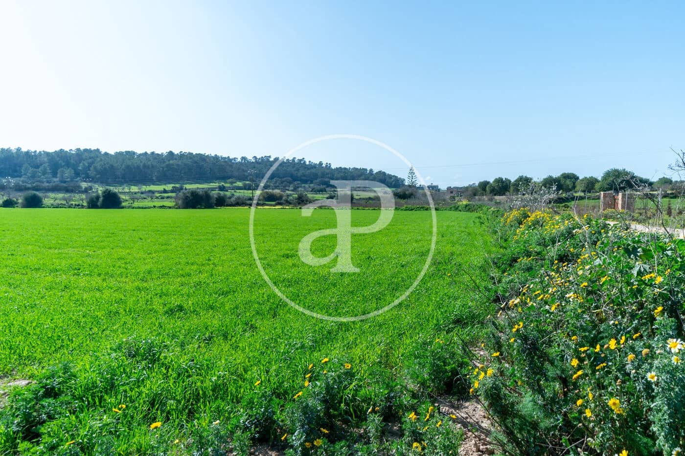 Mark till salu i Porreres - 235 000 € (Ref: 8827969)