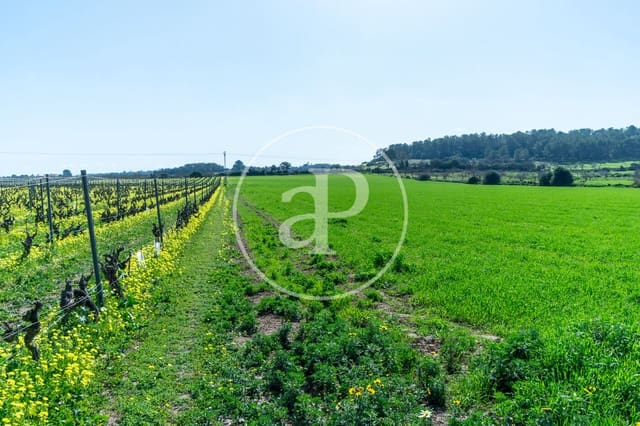 Mark till salu i Porreres - 235 000 € (Ref: 8827969)