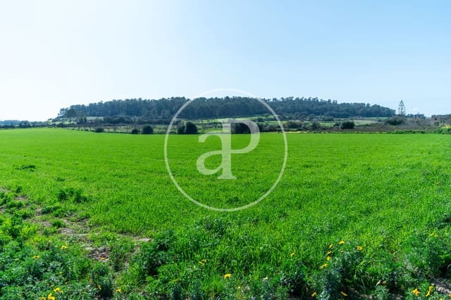 Mark till salu i Porreres - 235 000 € (Ref: 8827969)