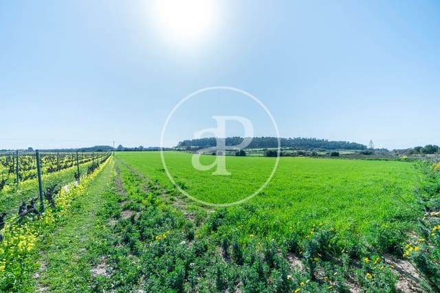 Mark till salu i Porreres - 235 000 € (Ref: 8827969)