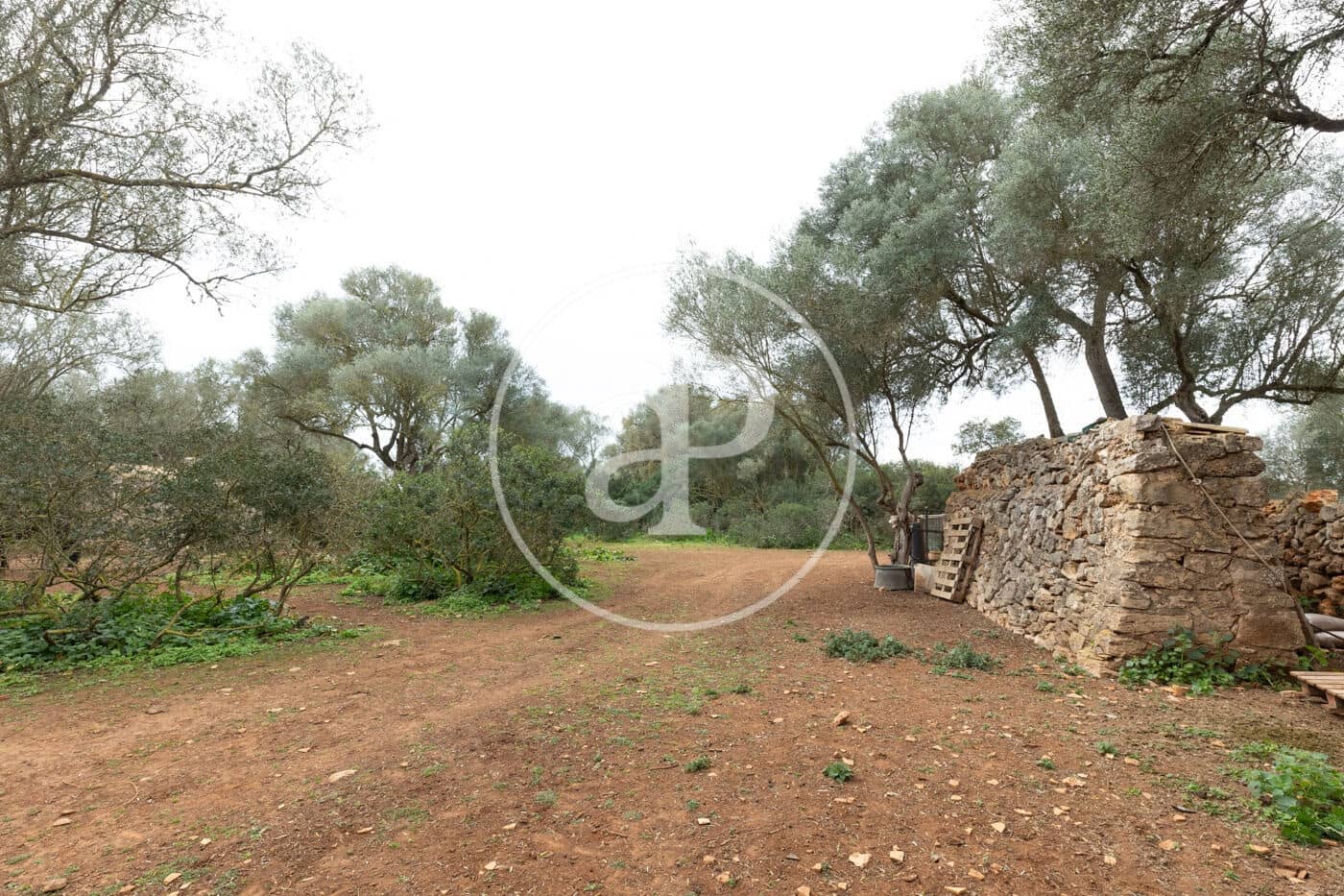 Teren niezagospodarowany na sprzedaż w Felanitx - 790 000 € (Ref: 8839257)