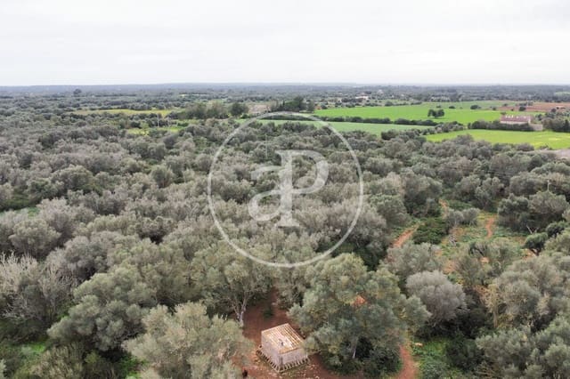 Undeveloped Land for sale in Felanitx - € 790,000 (Ref: 8839257)