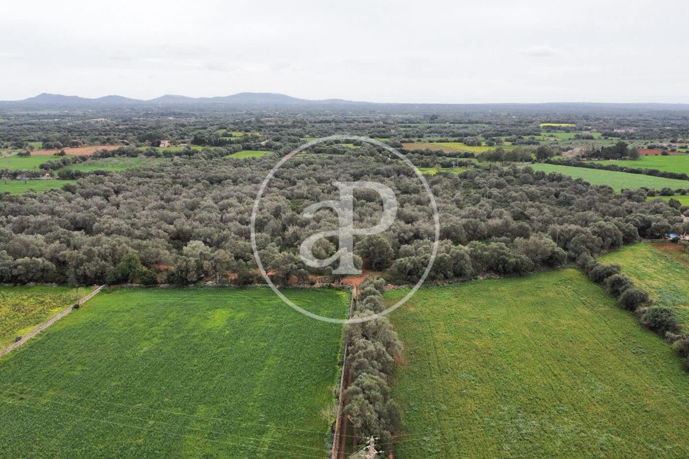 Teren niezagospodarowany na sprzedaż w Felanitx - 790 000 € (Ref: 8839257)