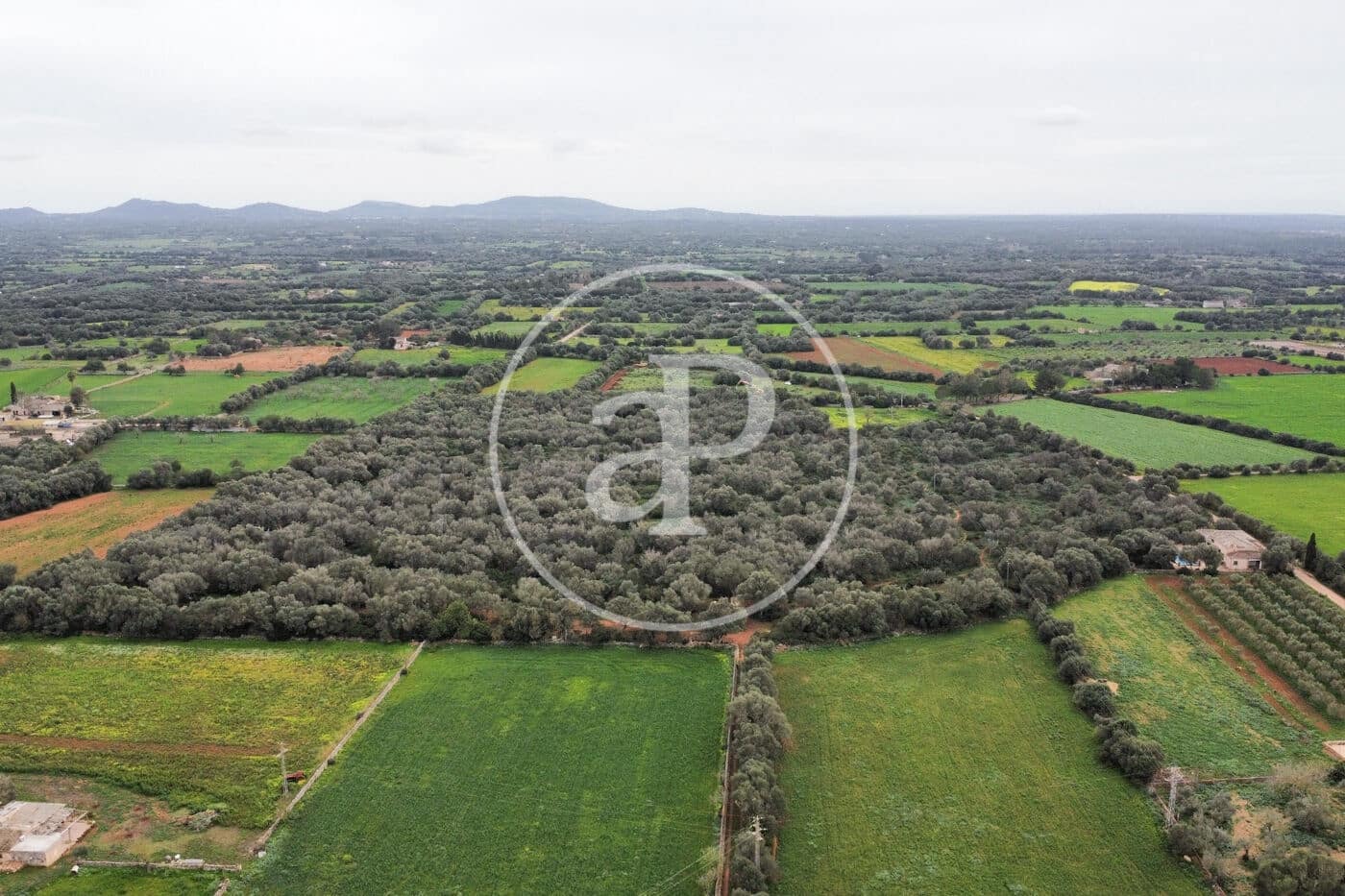 Teren niezagospodarowany na sprzedaż w Felanitx - 790 000 € (Ref: 8839257)