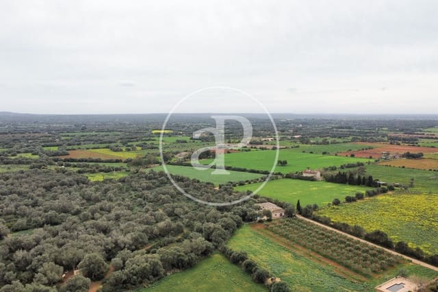 Undeveloped Land for sale in Felanitx - € 790,000 (Ref: 8839257)