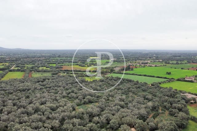Undeveloped Land for sale in Felanitx - € 790,000 (Ref: 8839257)