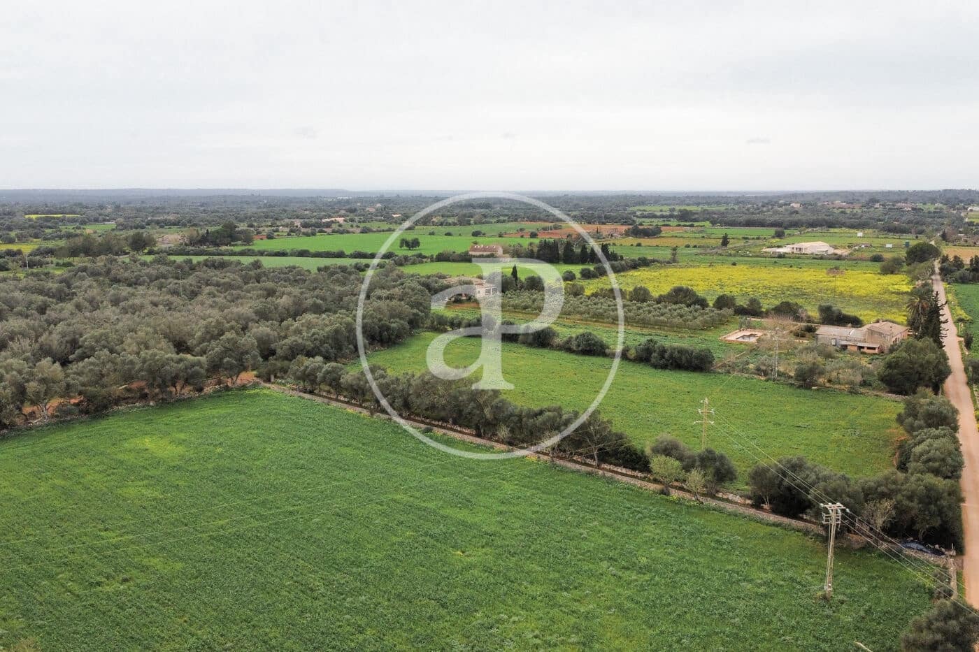 Teren niezagospodarowany na sprzedaż w Felanitx - 790 000 € (Ref: 8839257)