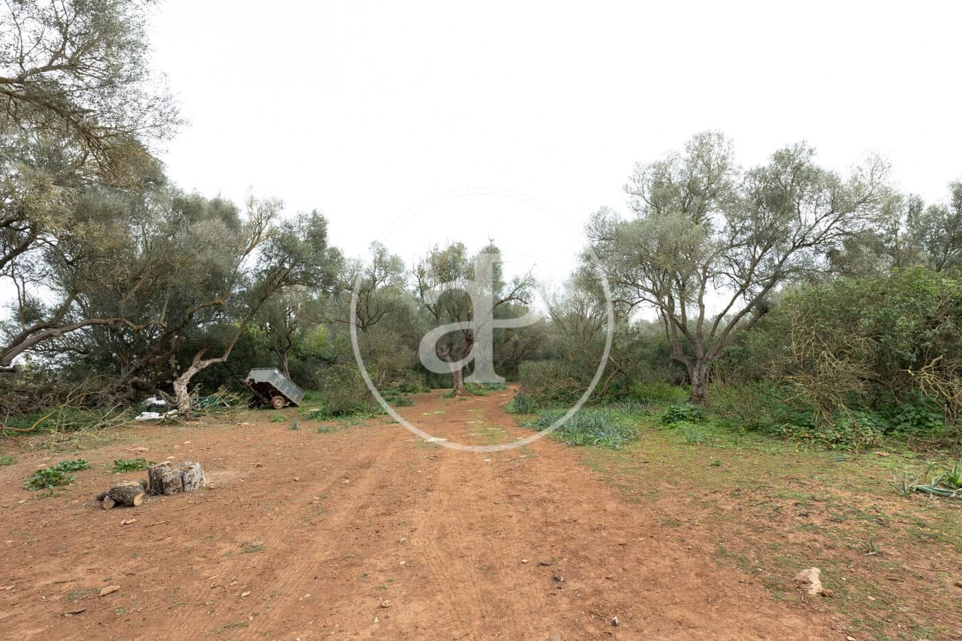 Teren niezagospodarowany na sprzedaż w Felanitx - 790 000 € (Ref: 8839257)