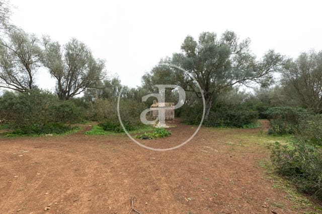 Undeveloped Land for sale in Felanitx - € 790,000 (Ref: 8839257)