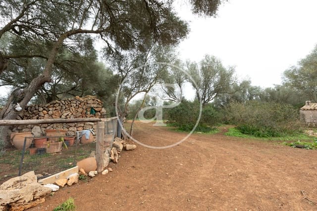 Undeveloped Land for sale in Felanitx - € 790,000 (Ref: 8839257)