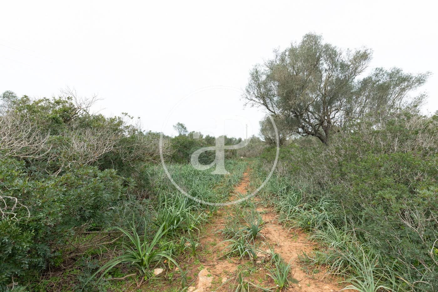 Teren niezagospodarowany na sprzedaż w Felanitx - 790 000 € (Ref: 8839257)