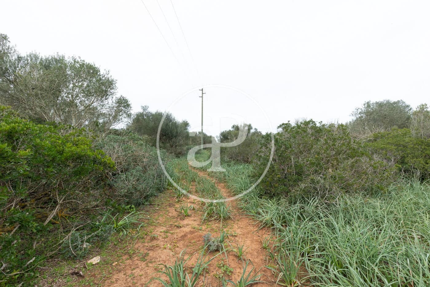 Teren niezagospodarowany na sprzedaż w Felanitx - 790 000 € (Ref: 8839257)