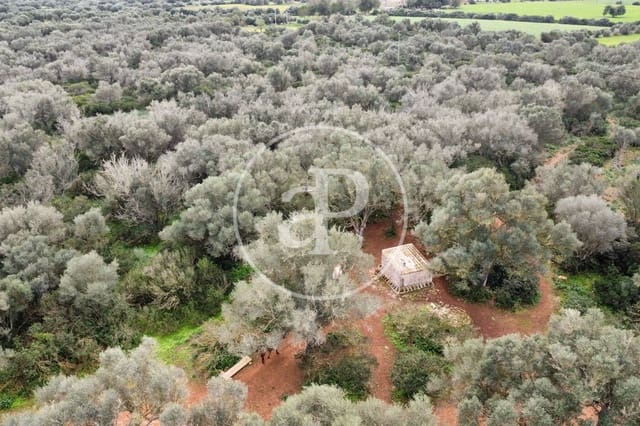 Undeveloped Land for sale in Felanitx - € 790,000 (Ref: 8839257)