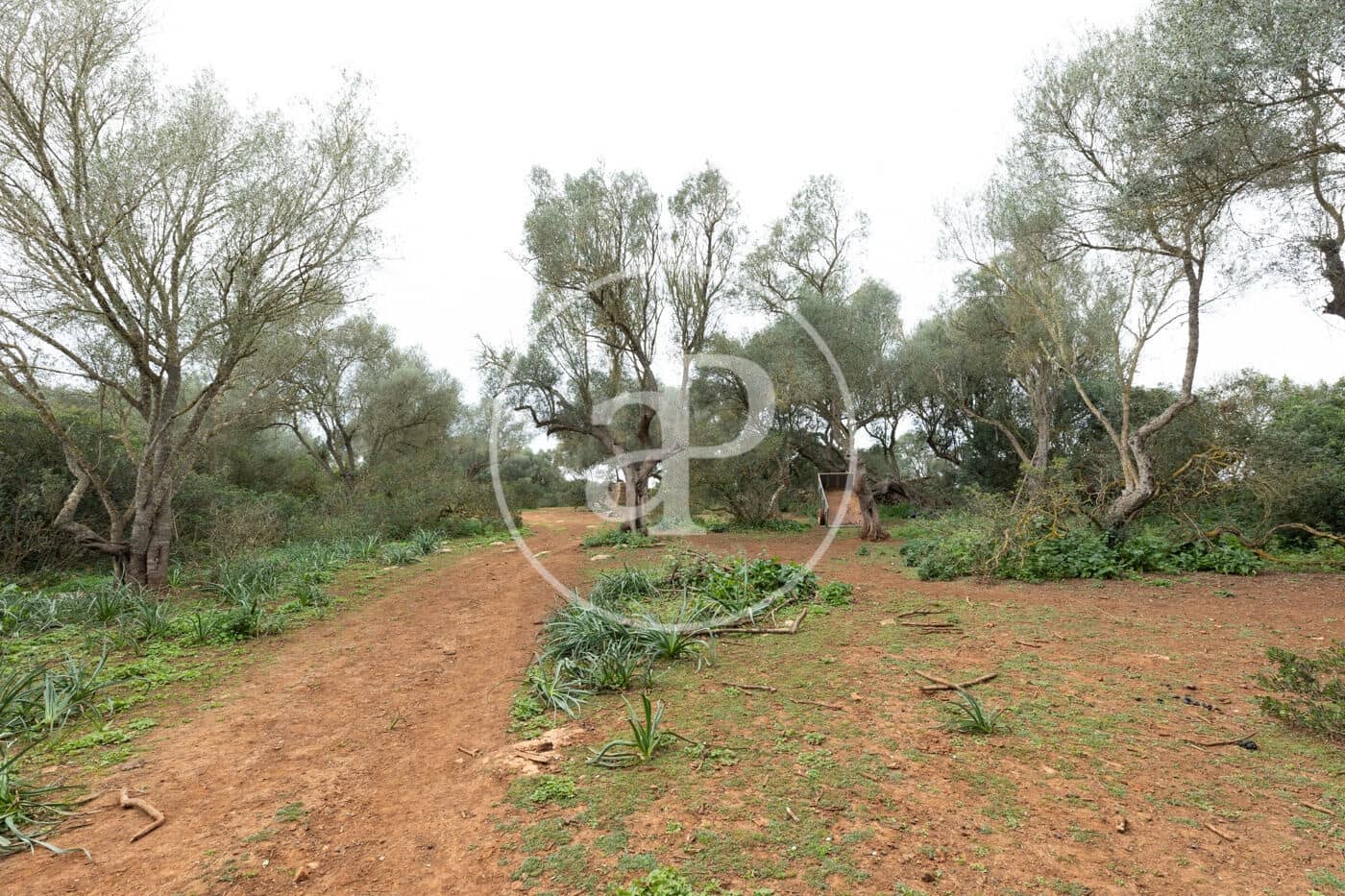 Teren niezagospodarowany na sprzedaż w Felanitx - 790 000 € (Ref: 8839257)