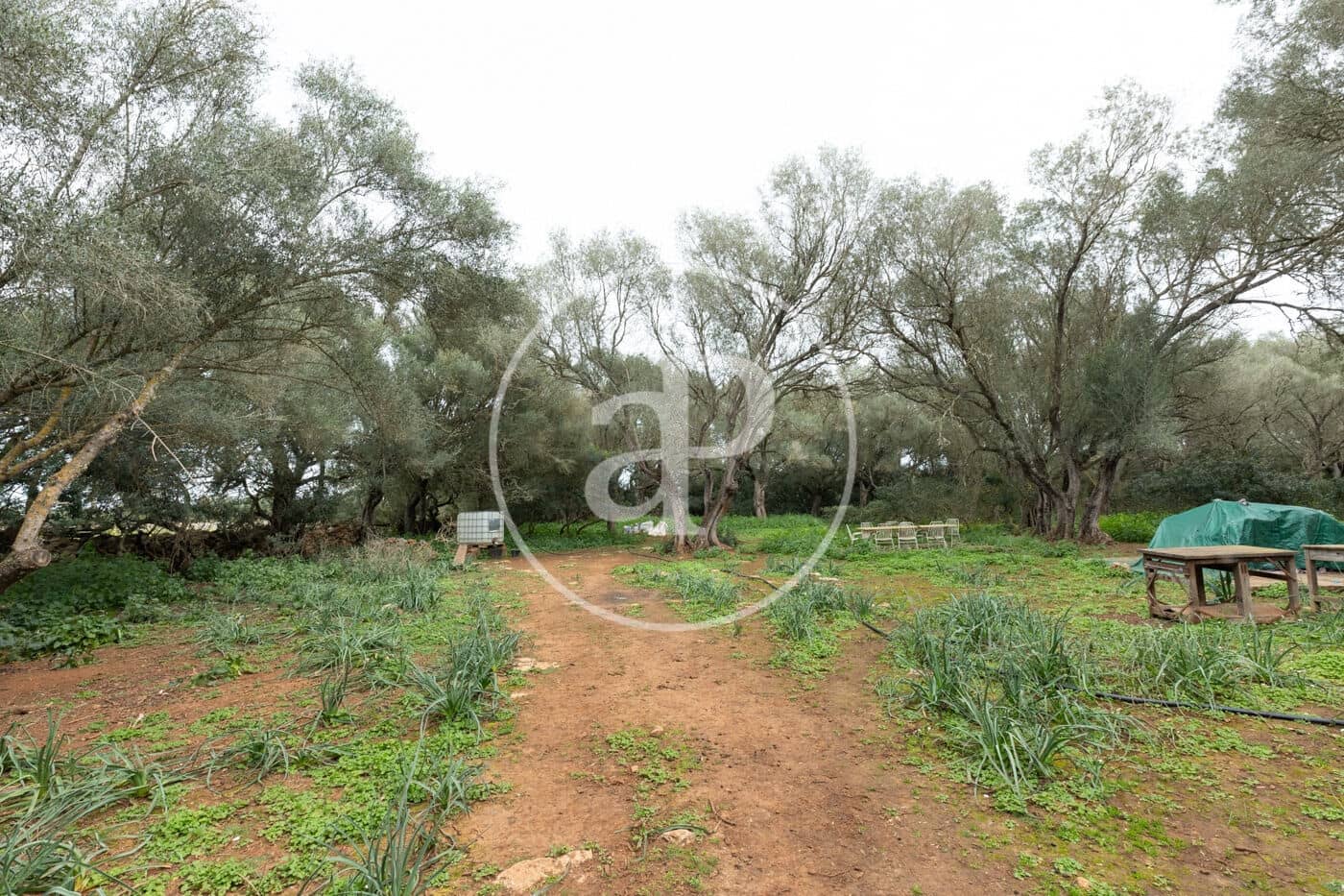 Teren niezagospodarowany na sprzedaż w Felanitx - 790 000 € (Ref: 8839257)