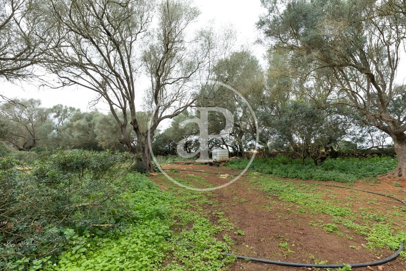 Teren niezagospodarowany na sprzedaż w Felanitx - 790 000 € (Ref: 8839257)