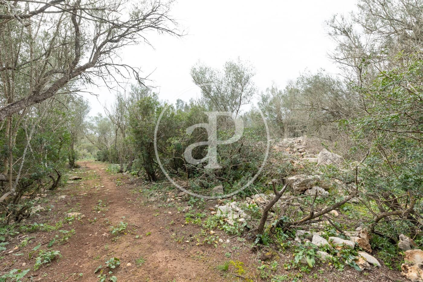 Teren niezagospodarowany na sprzedaż w Felanitx - 790 000 € (Ref: 8839257)