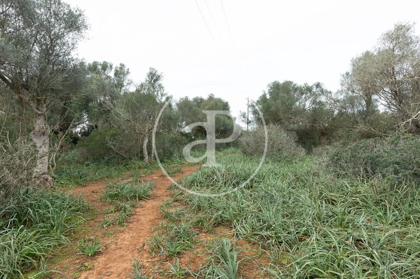 Teren niezagospodarowany na sprzedaż w Felanitx - 790 000 € (Ref: 8839257)