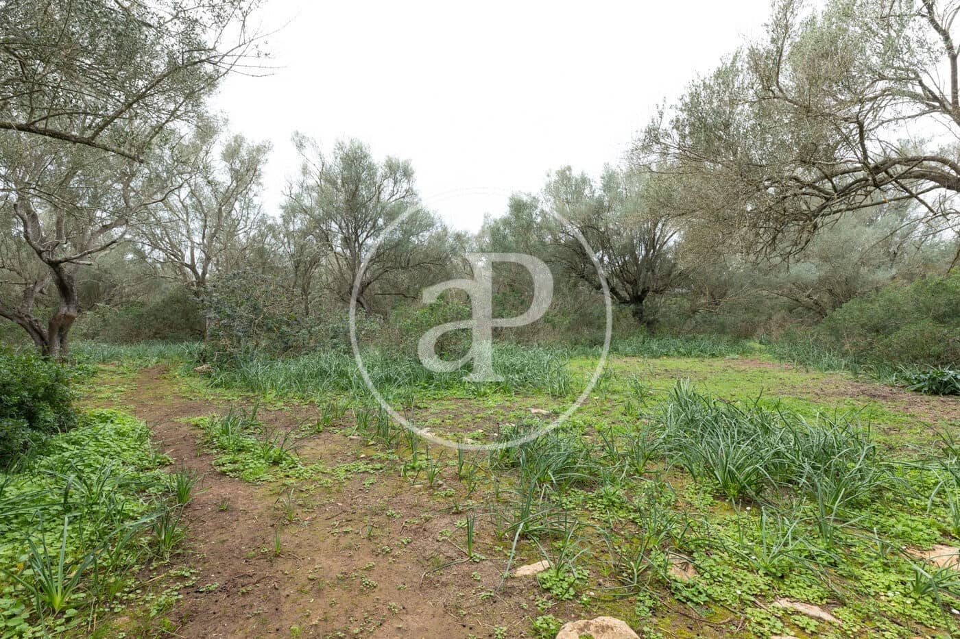 Teren niezagospodarowany na sprzedaż w Felanitx - 790 000 € (Ref: 8839257)