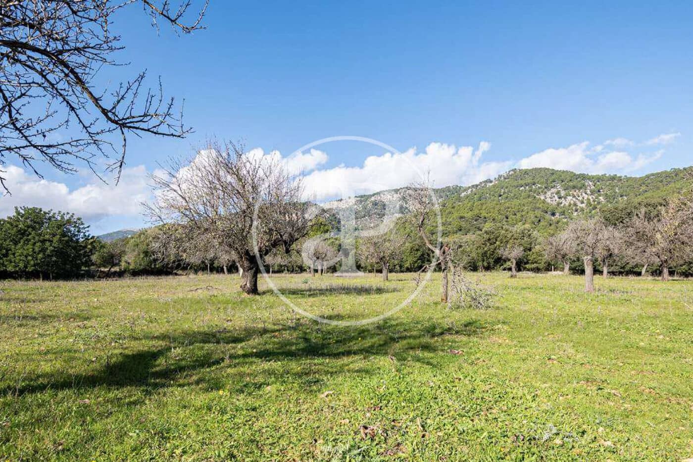 Villa for sale in Selva with pool - € 5,500,000 (Ref: 8868140)