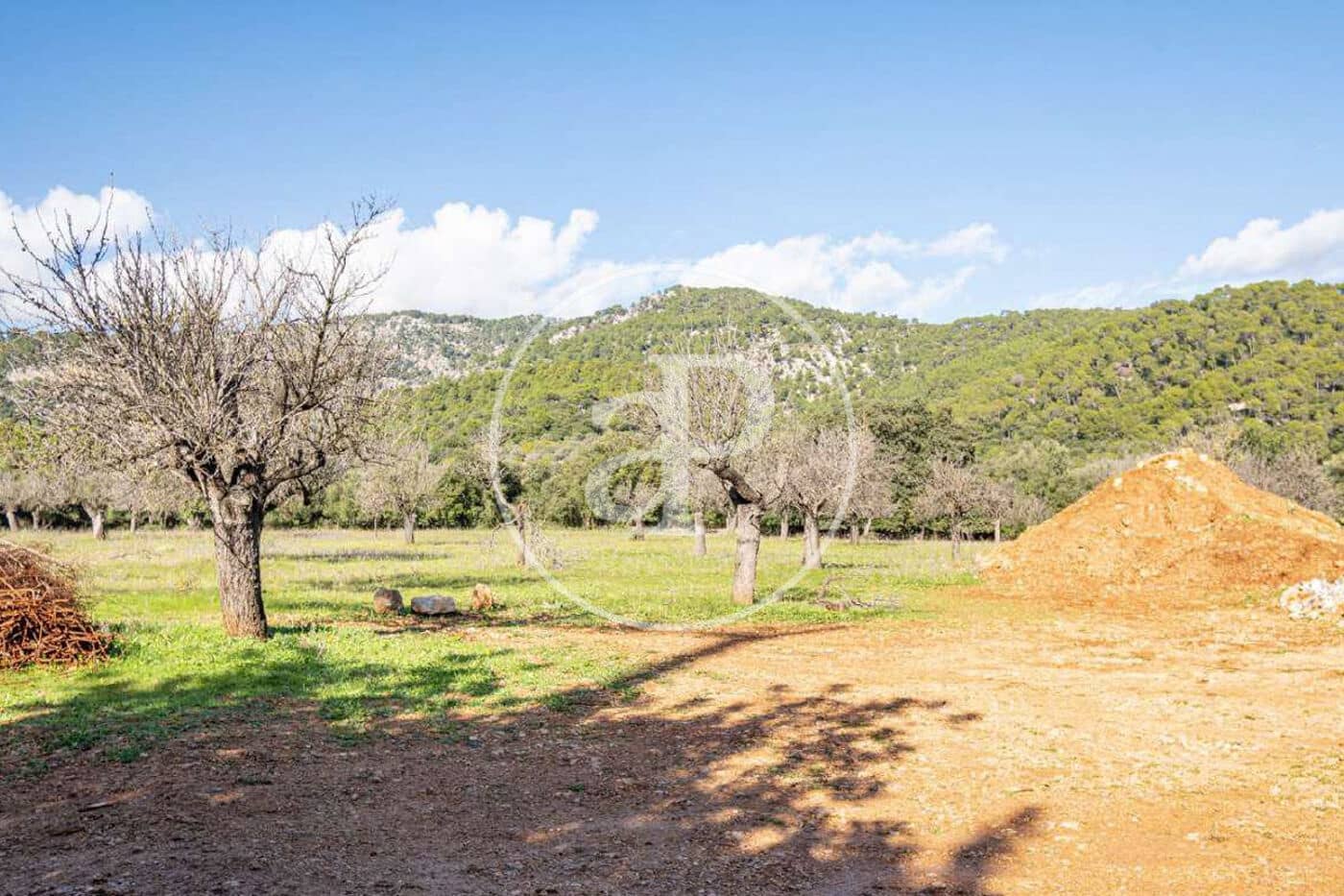 Villa for sale in Selva with pool - € 5,500,000 (Ref: 8868140)