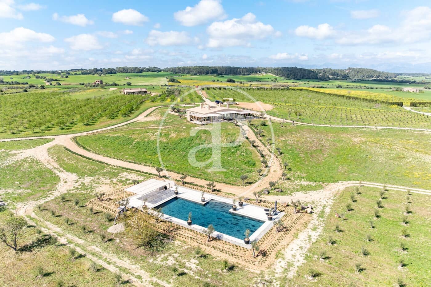 1 chambre Villa/Maison à vendre à Pina avec piscine - 17 500 000 € (Ref: 8915589)