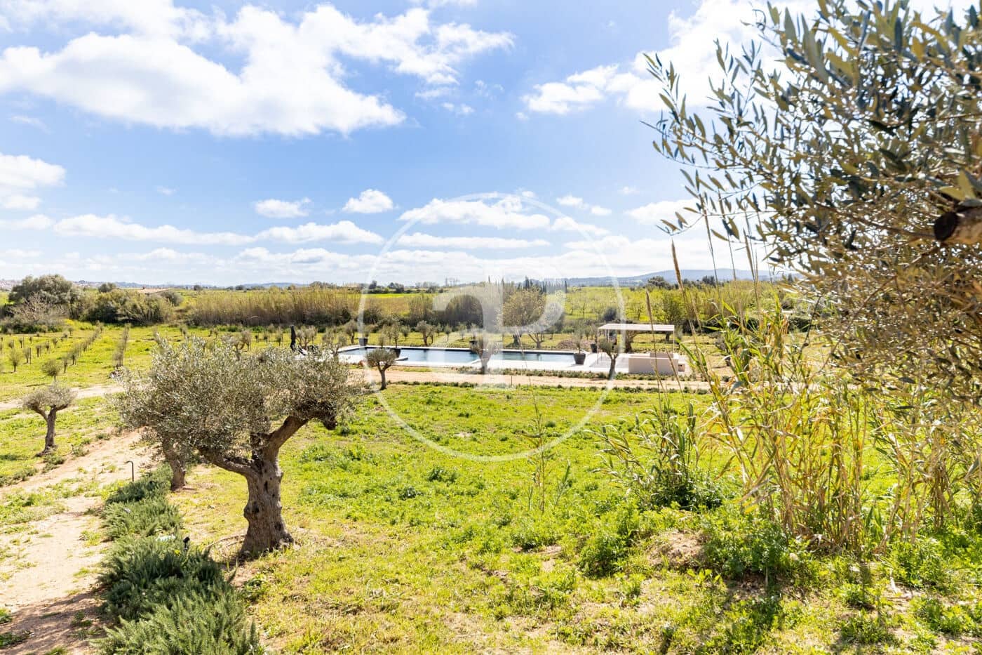 1 chambre Villa/Maison à vendre à Pina avec piscine - 17 500 000 € (Ref: 8915589)