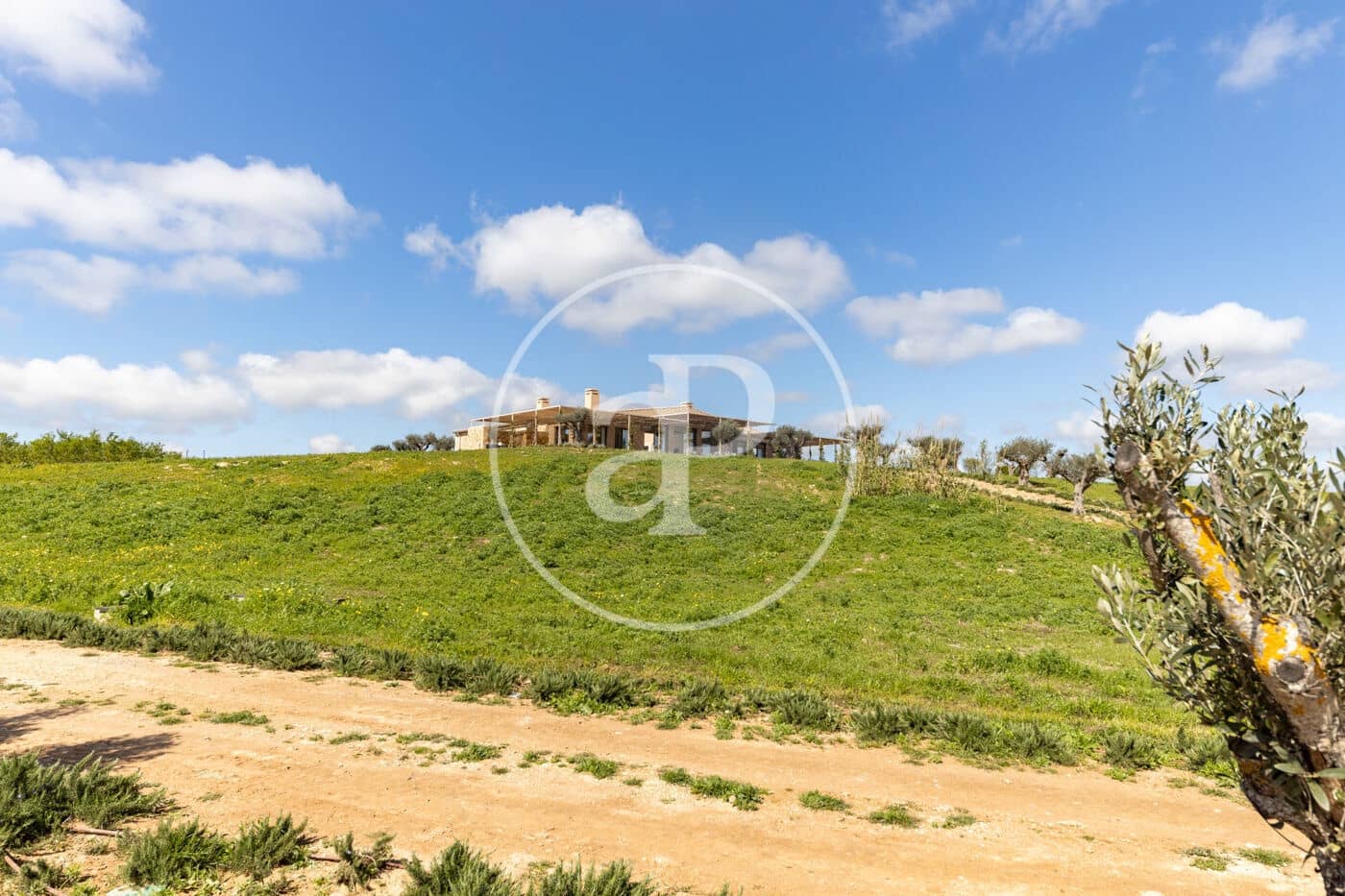 1 chambre Villa/Maison à vendre à Pina avec piscine - 17 500 000 € (Ref: 8915589)