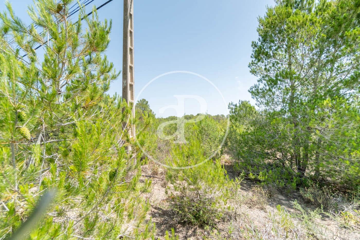 Undeveloped Land for sale in Portocolom - € 315,000 (Ref: 9034483)