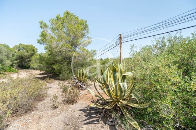 Terreno Não Urbanizado para venda em Portocolom, Felanitx - 315 000 € (Ref: 9034483)