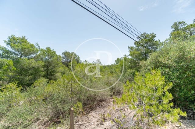 Terreno Não Urbanizado para venda em Portocolom, Felanitx - 315 000 € (Ref: 9034483)