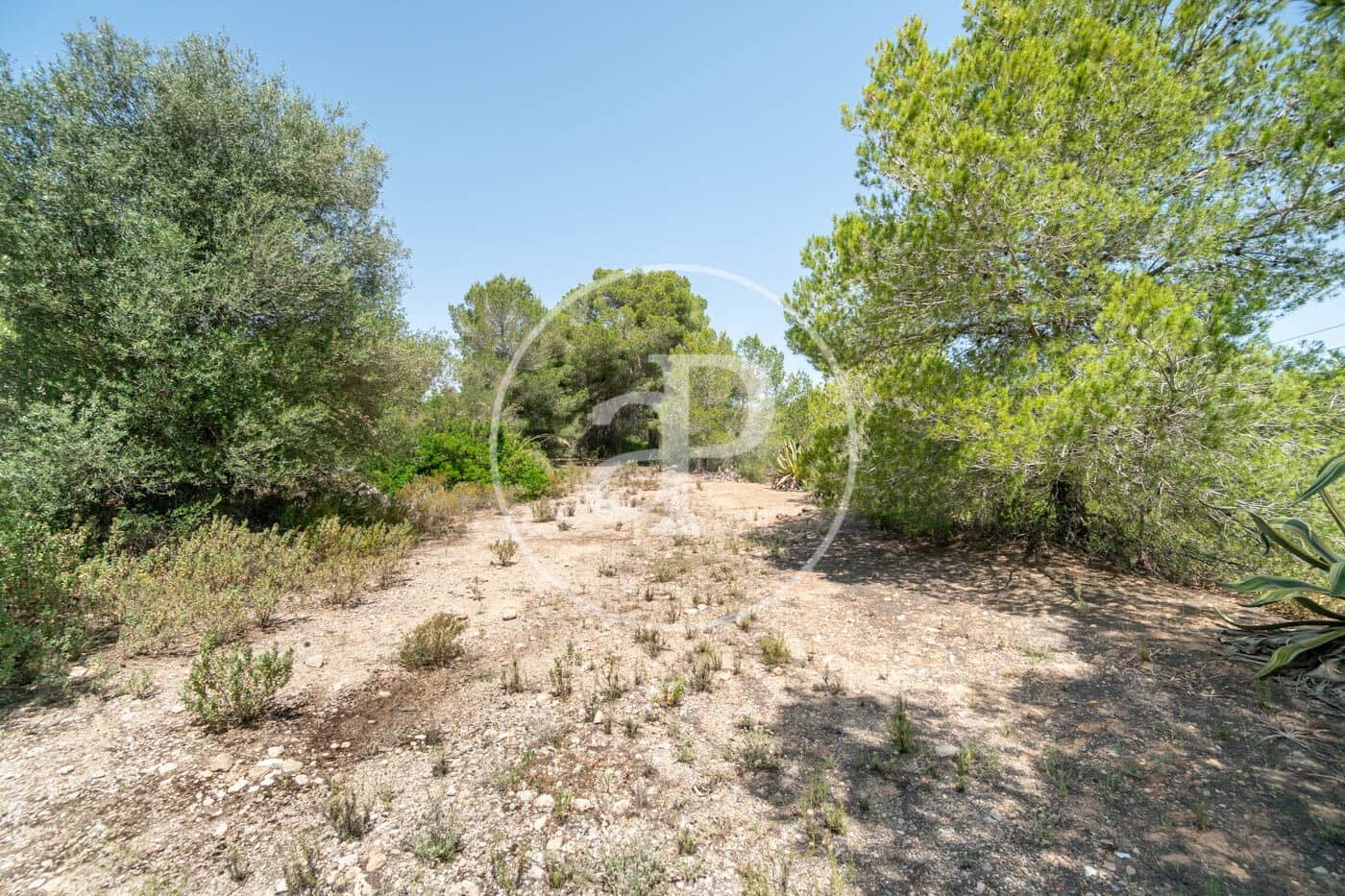 Undeveloped Land for sale in Portocolom - € 315,000 (Ref: 9034483)