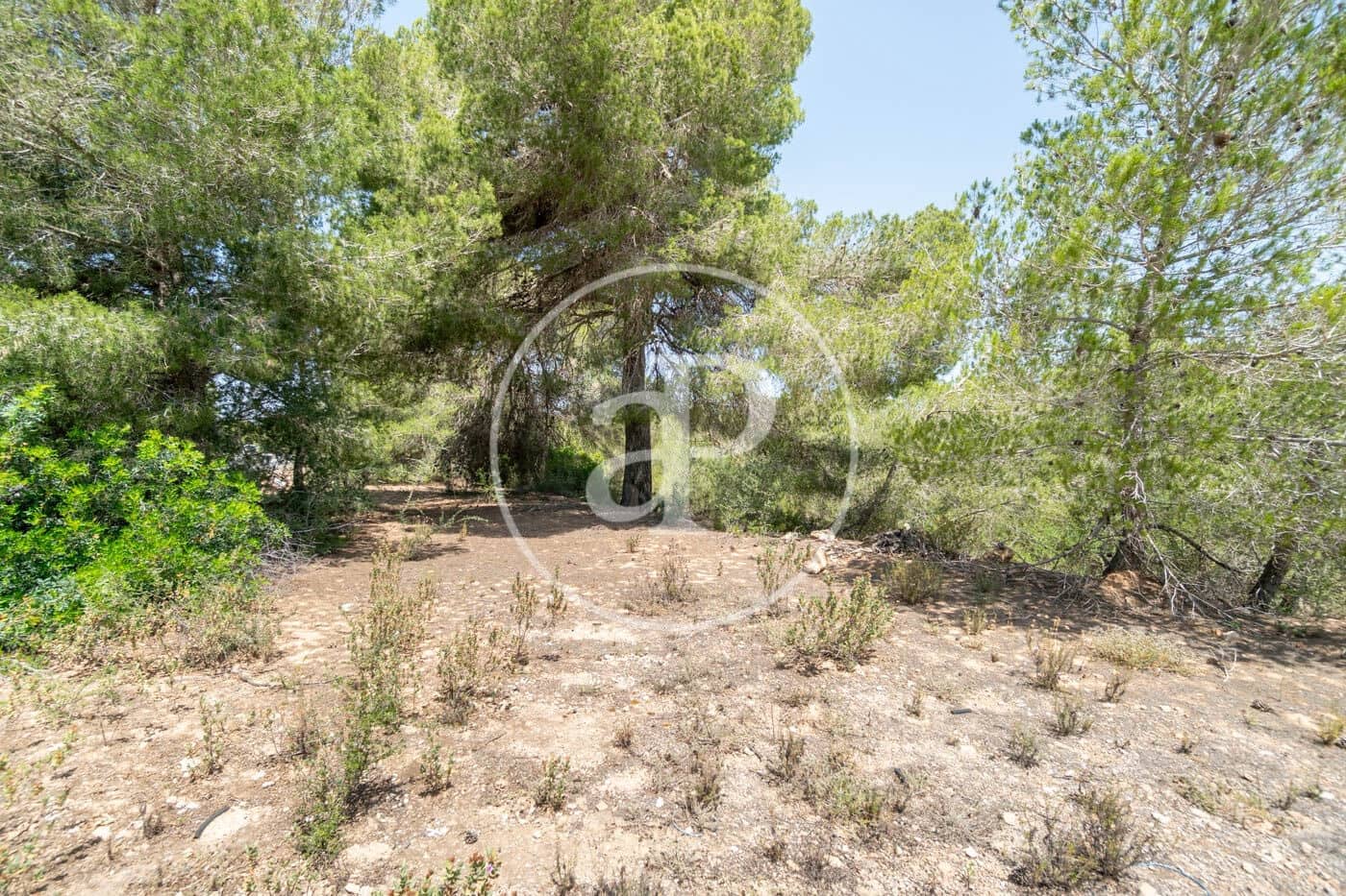 Undeveloped Land for sale in Portocolom - € 315,000 (Ref: 9034483)