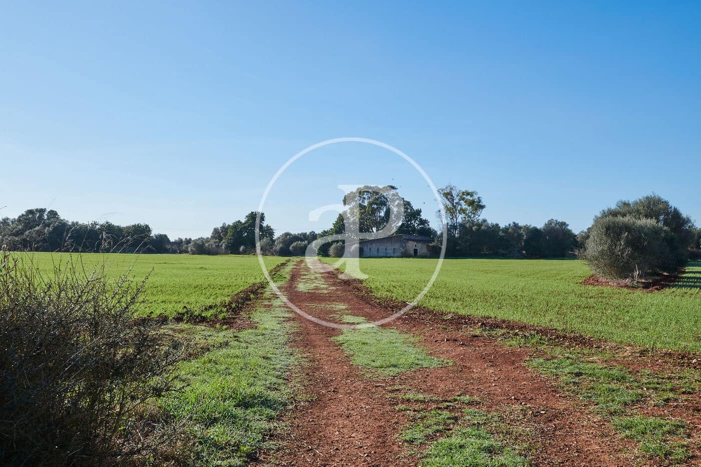 8 soveværelse Finca/Landehus til salg i Cas Concos - € 2.450.000 (Ref: 9065490)