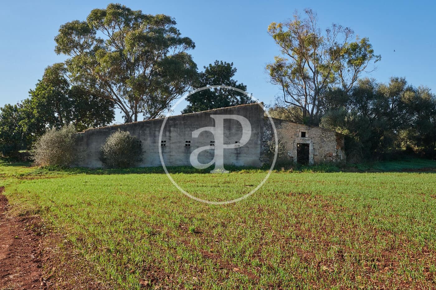 8 soveværelse Finca/Landehus til salg i Cas Concos - € 2.450.000 (Ref: 9065490)