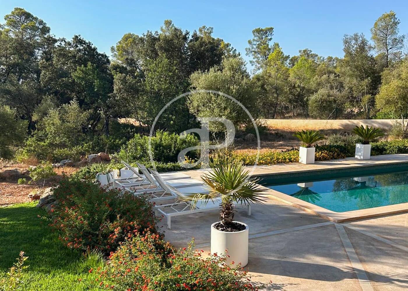 5 camera da letto Villa da affittare in Palma de Mallorca con piscina - 6.500 € (Rif: 9204838)