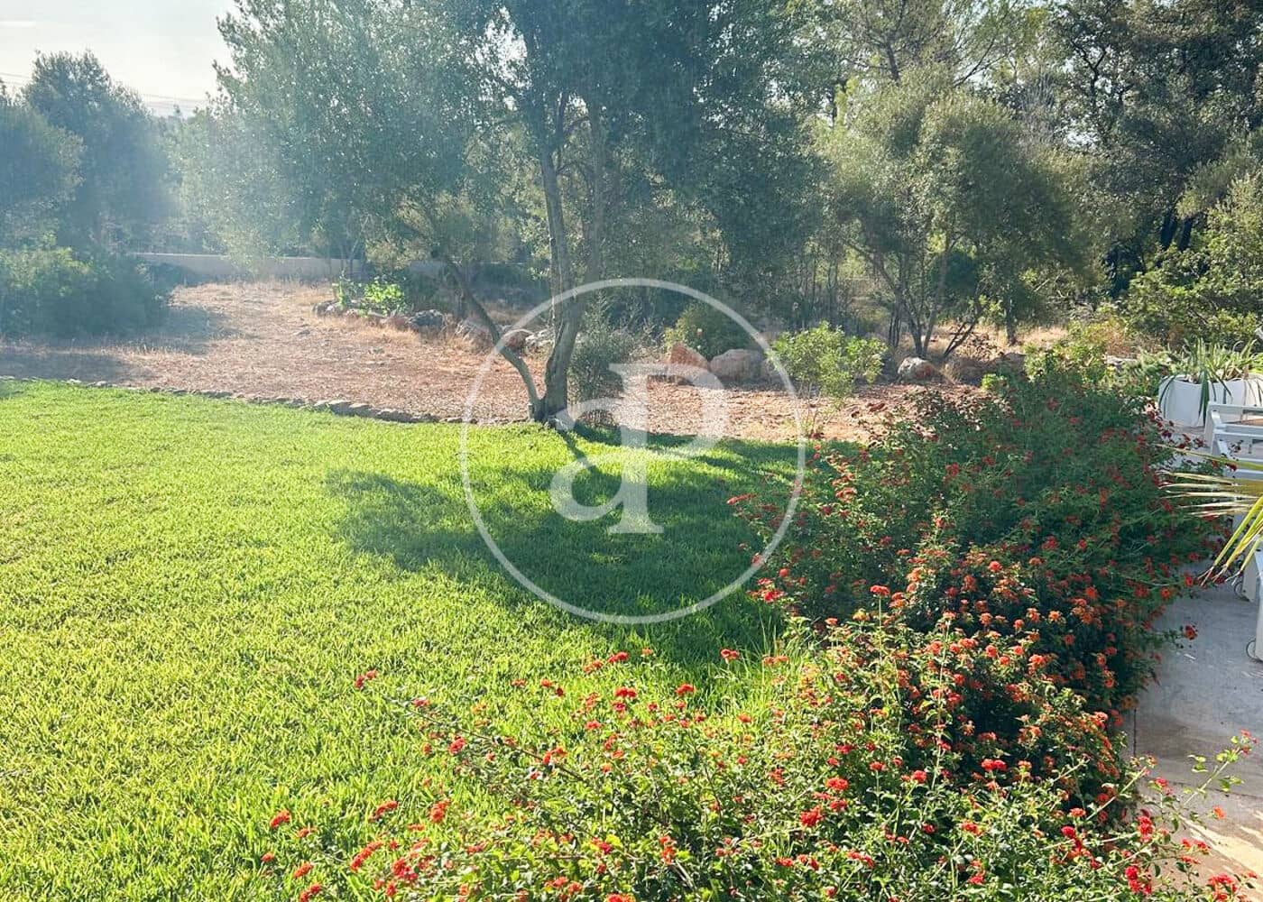 5 camera da letto Villa da affittare in Palma de Mallorca con piscina - 6.500 € (Rif: 9204838)