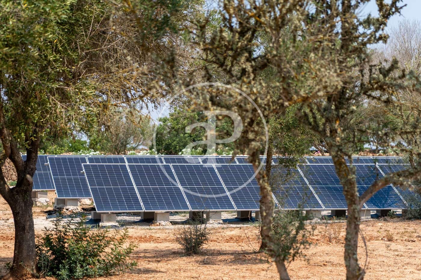 14 sypialnia Willa na sprzedaż w Llucmajor z basenem - 5 900 000 € (Ref: 9272611)