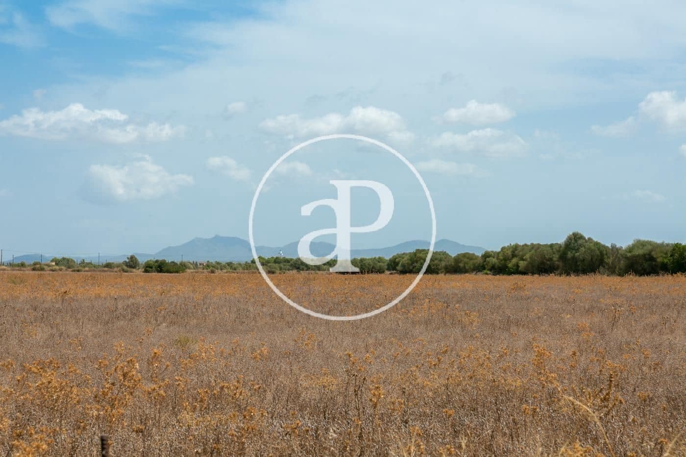 Rakentamaton maa myytävänä paikassa Campos - 725 000 € (Ref: 9355860)