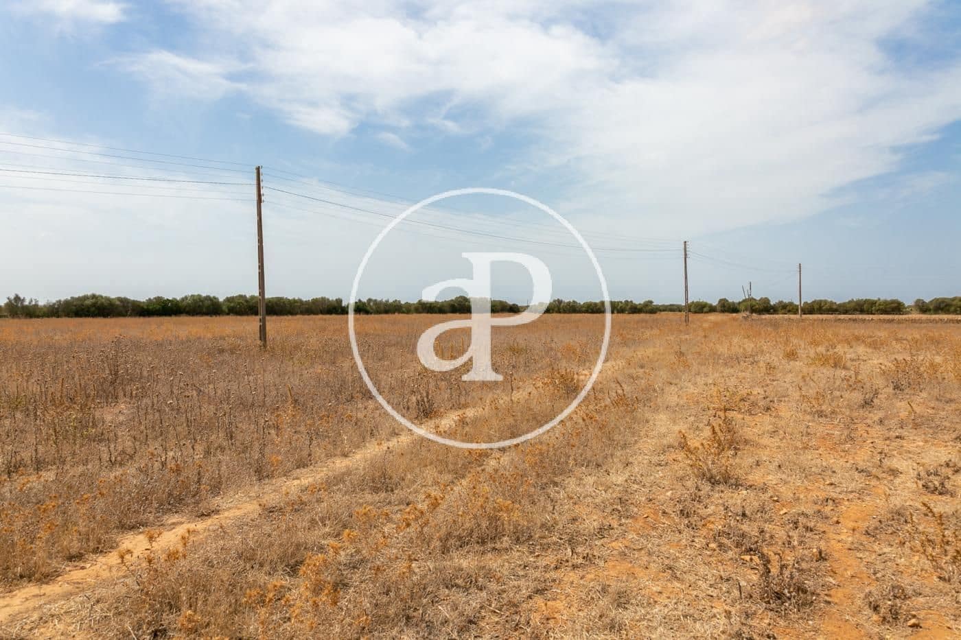 Rakentamaton maa myytävänä paikassa Campos - 725 000 € (Ref: 9355860)