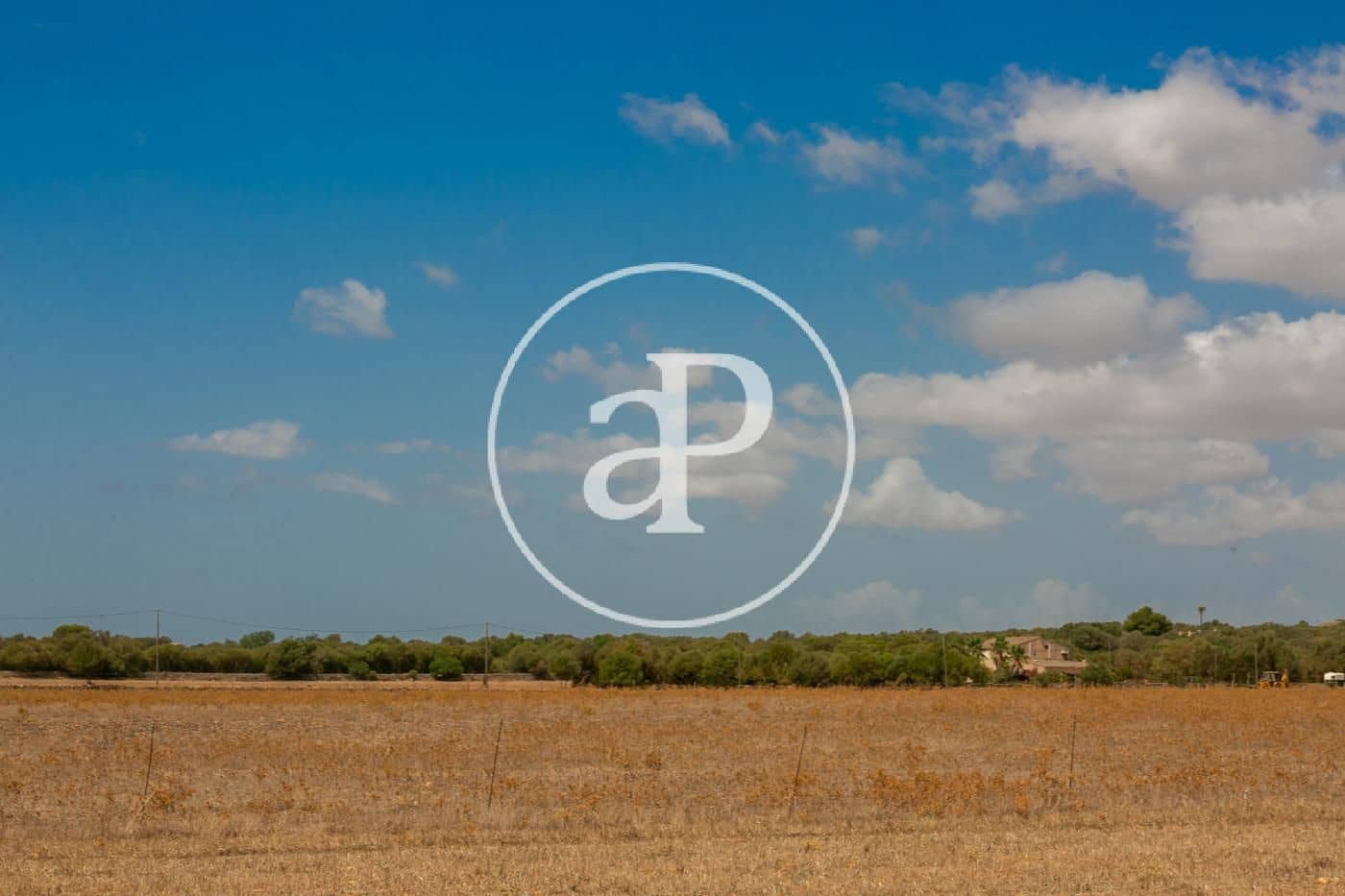 Rakentamaton maa myytävänä paikassa Campos - 725 000 € (Ref: 9355860)