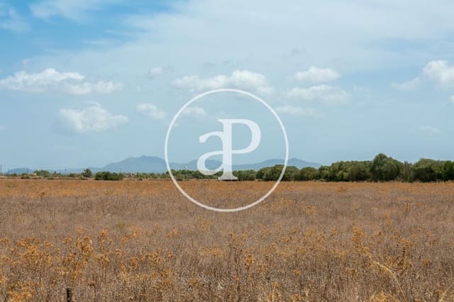 Mark till salu i Campos - 725 000 € (Ref: 9355860)